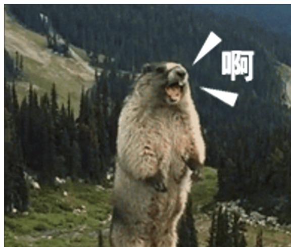 搞笑视频土拨鼠国产在线播放,在线播放笑翻天