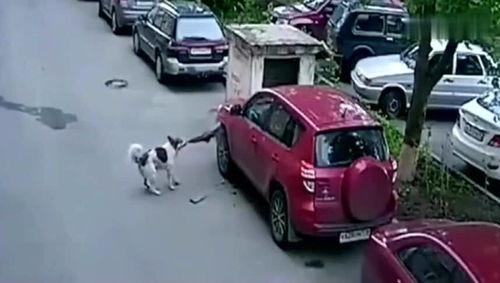 国产小车爬坡视频教程,视频教程带你轻松征服坡道挑战