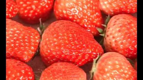 草莓视频国产旧版,重温经典，回味无穷的短视频时光